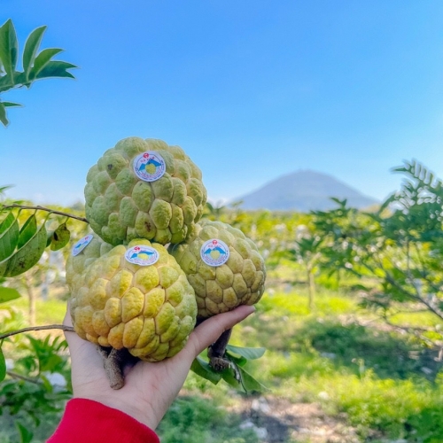 Na Núi Bà Đen - Tây Ninh