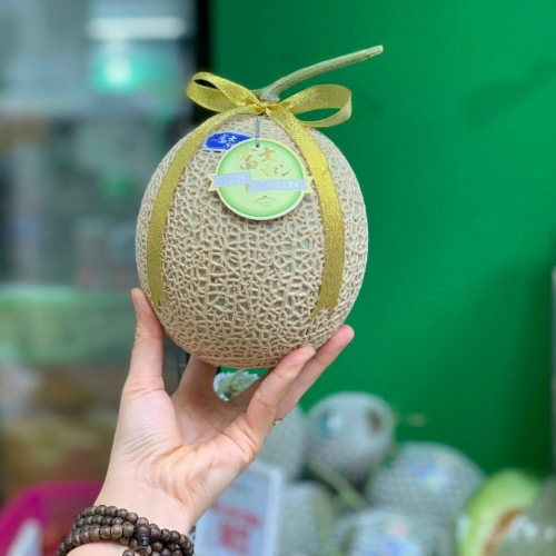 Dưa Lưới Fuji Melon Nhật